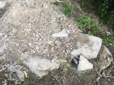 Прикрепленное изображение: IMG_9241.jpeg